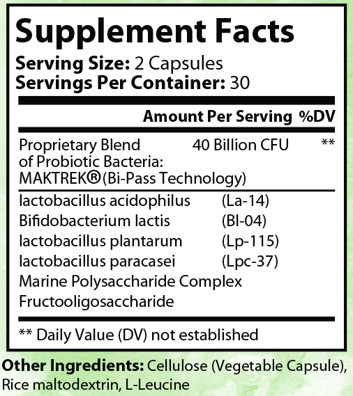 My Bedroom Gym My Bedroom Gym