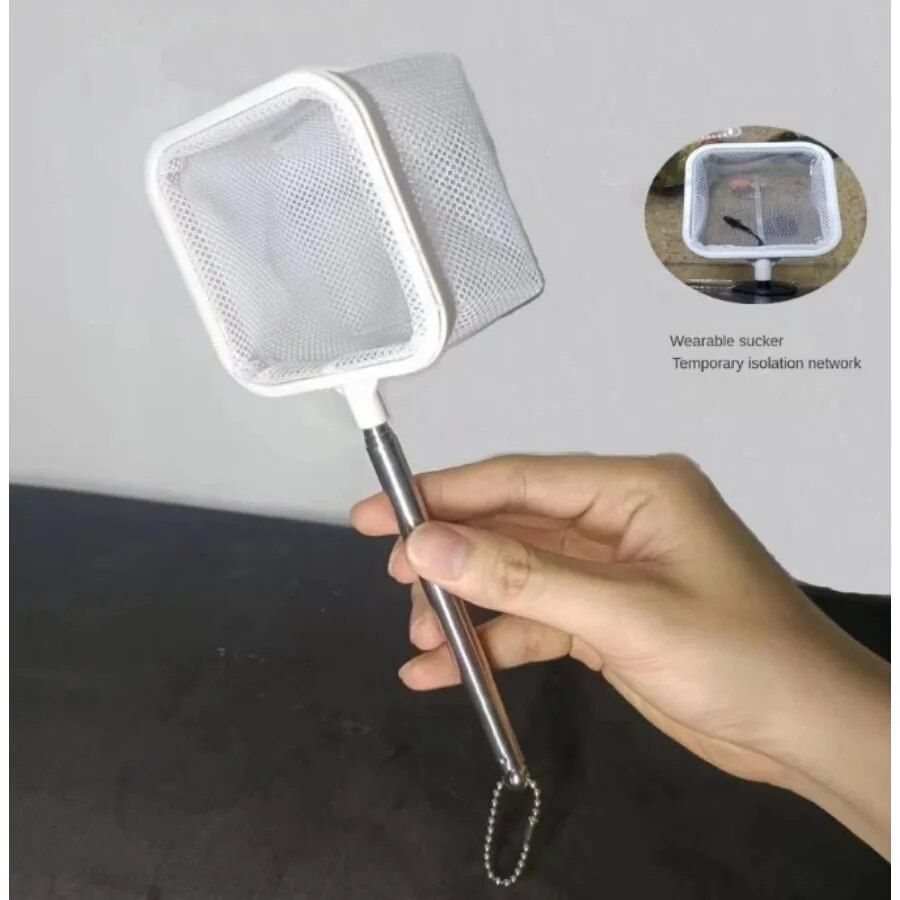 4620-a97255.jpg A97255.jpg