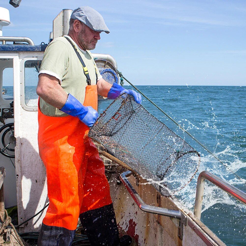 4624-44eb91.jpeg 44eb91.jpeg