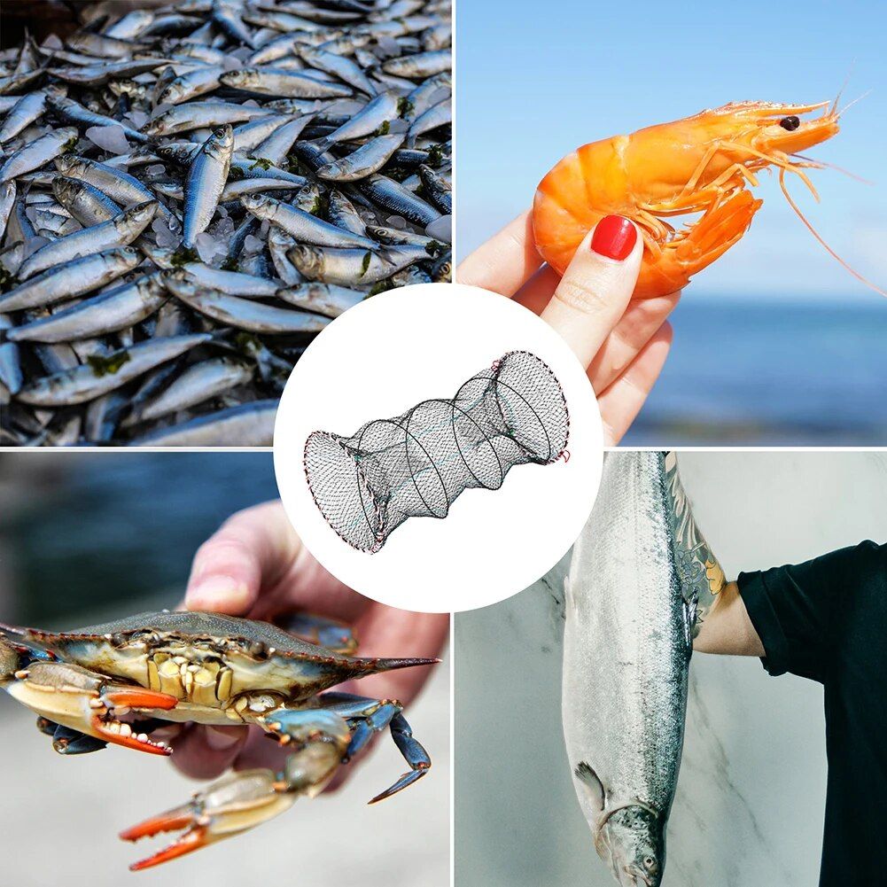 4624-da43fa.jpeg Da43fa.jpeg