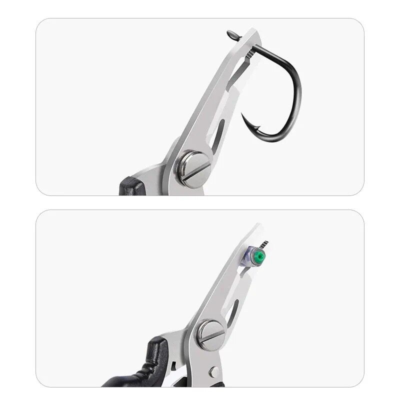 5095-b2311e.jpg B2311e.jpg